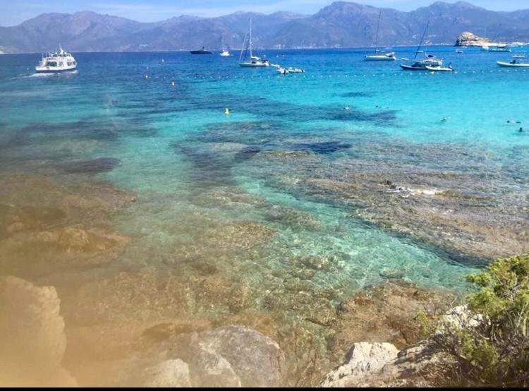 Villa Le Corail Rouge Corse Lecci Zewnętrze zdjęcie
