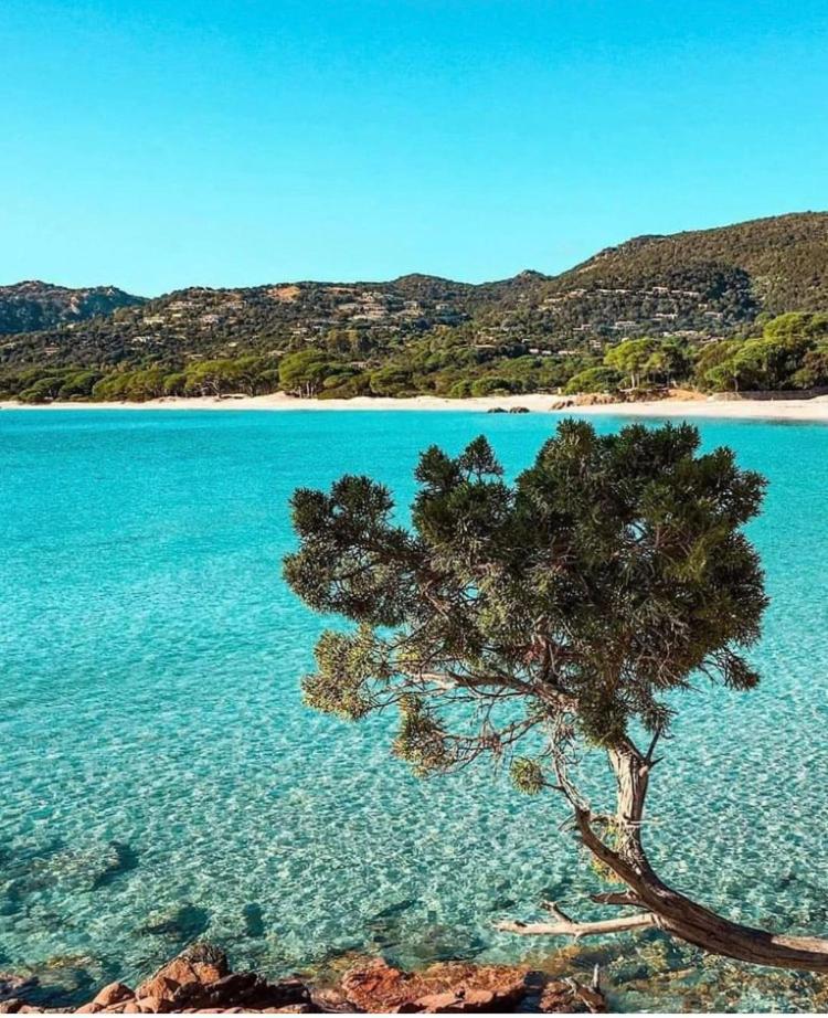 Villa Le Corail Rouge Corse Lecci Zewnętrze zdjęcie