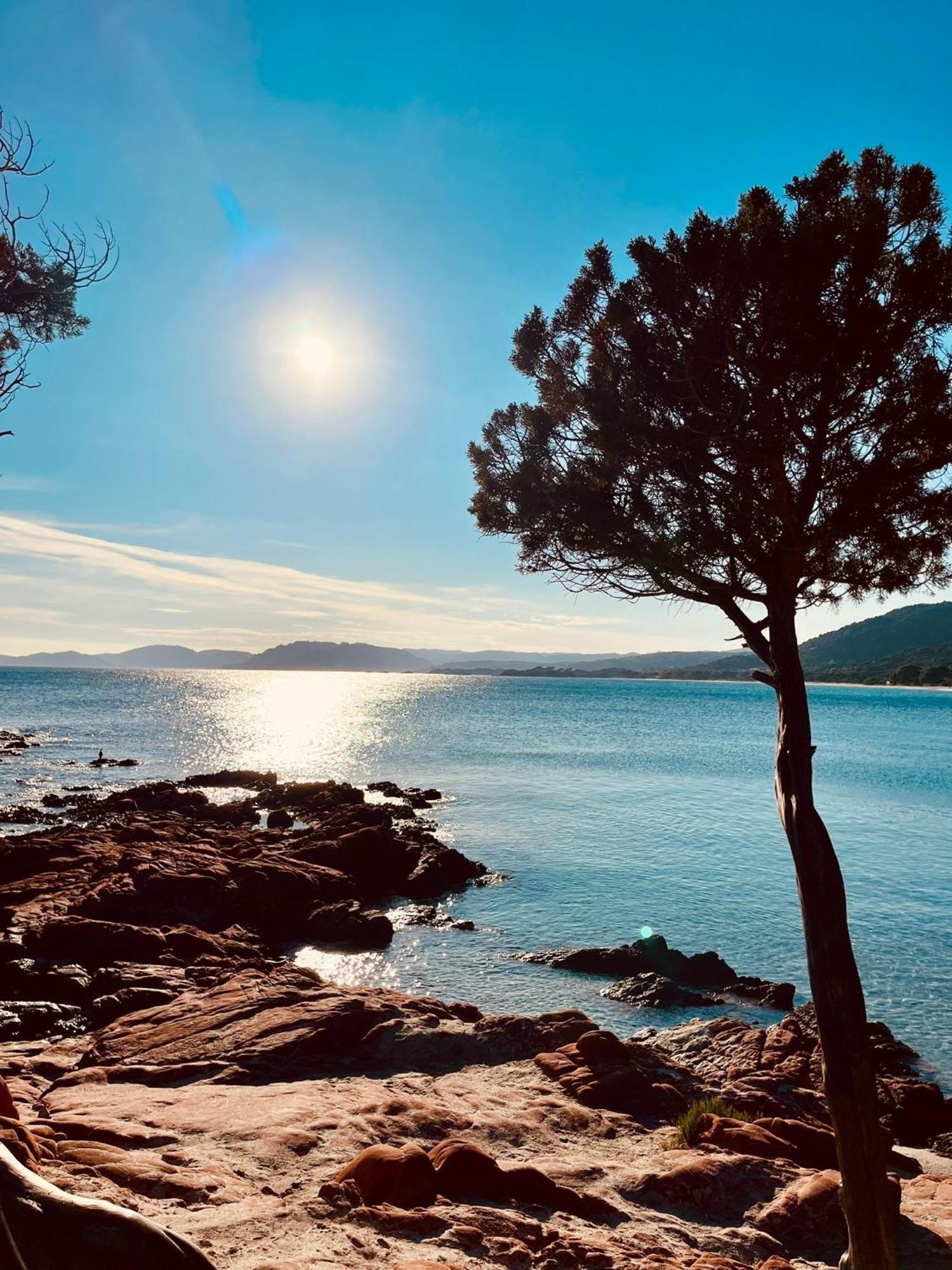 Villa Le Corail Rouge Corse Lecci Zewnętrze zdjęcie