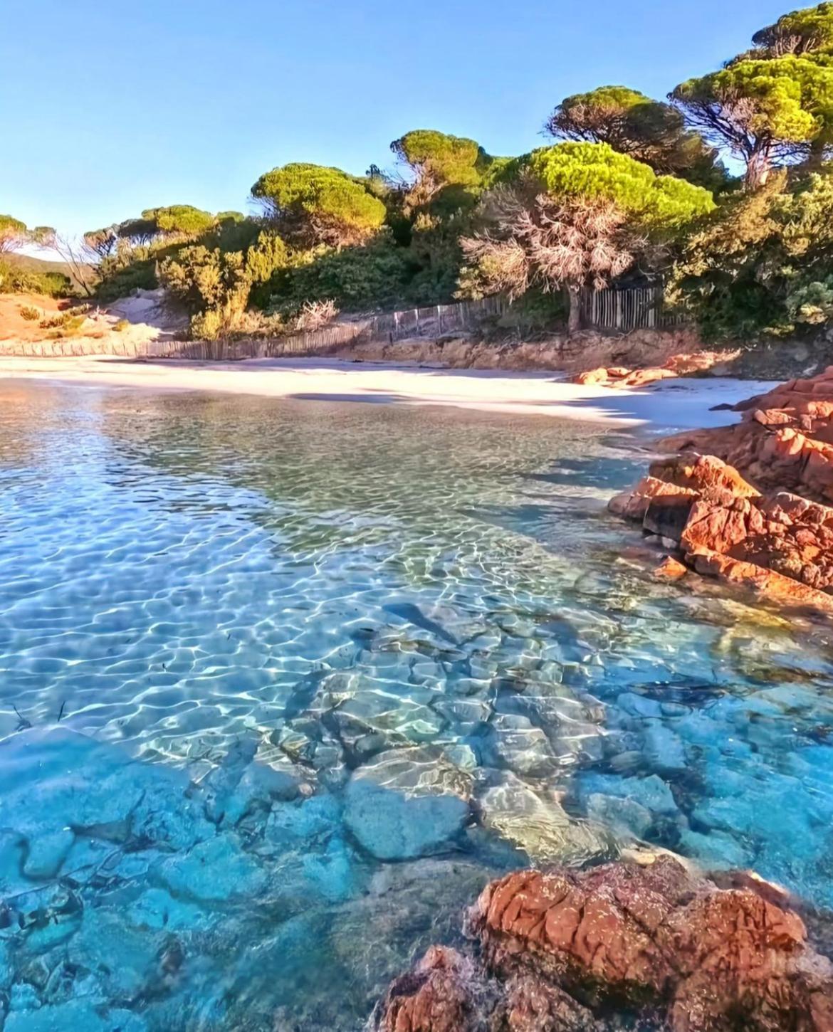 Villa Le Corail Rouge Corse Lecci Zewnętrze zdjęcie