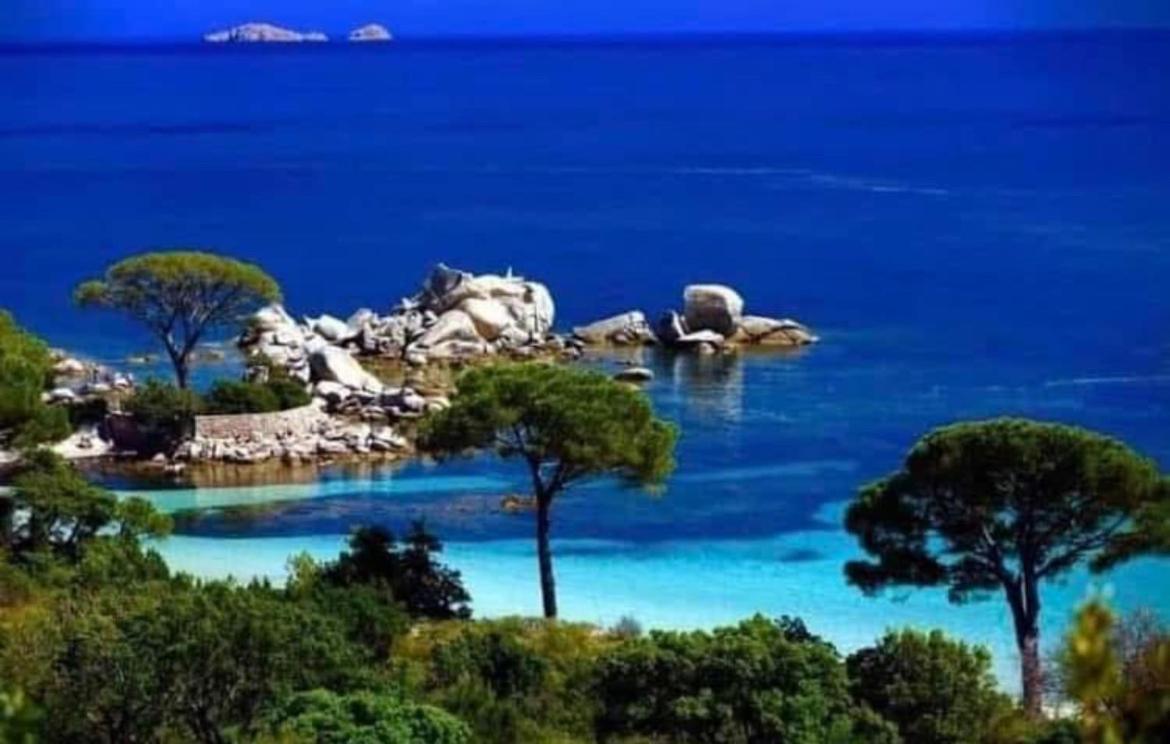 Villa Le Corail Rouge Corse Lecci Zewnętrze zdjęcie